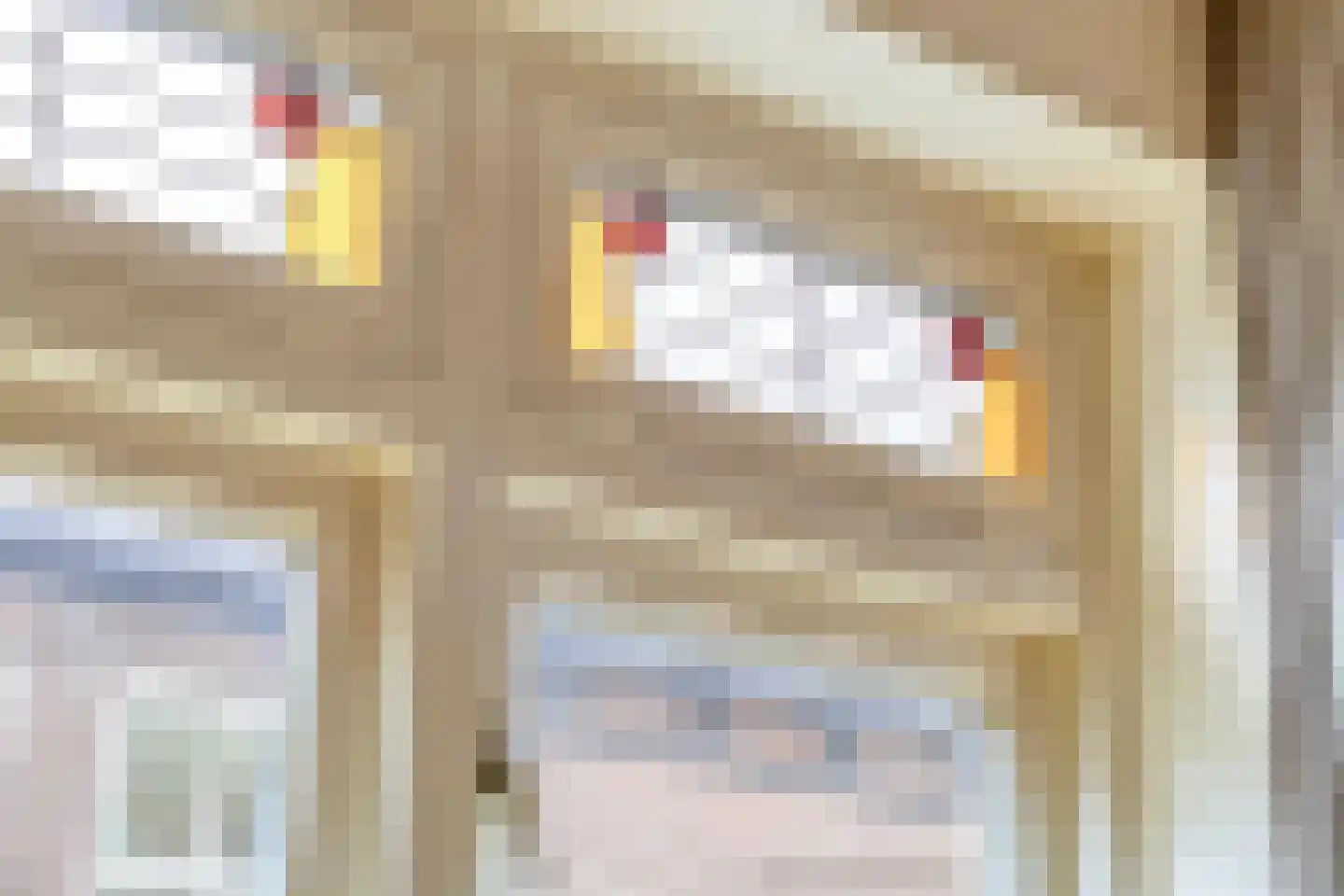 Weerstraat 15 Tiel thumbnail 22