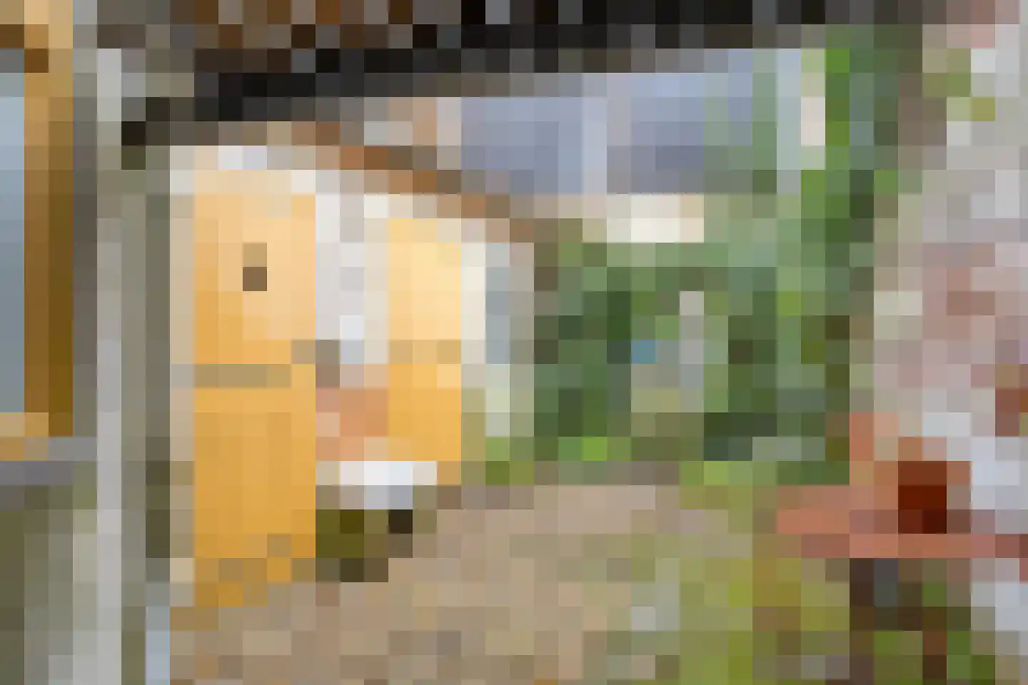 Weerstraat 15 Tiel thumbnail 31