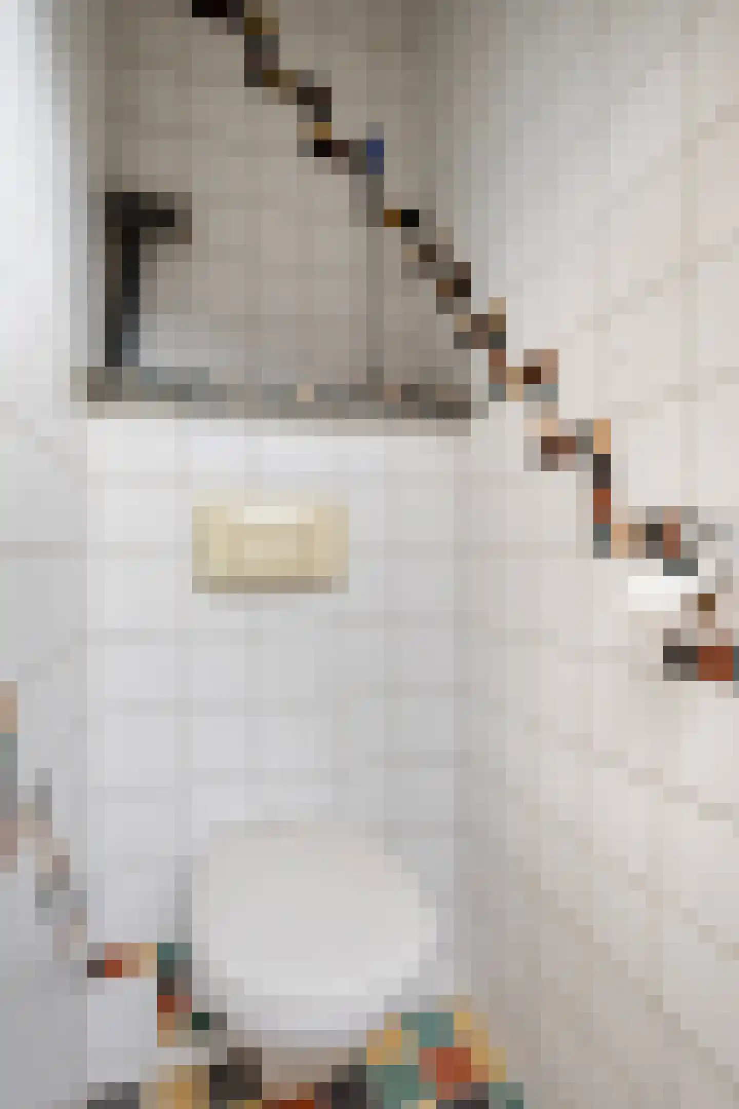 Weerstraat 15 Tiel thumbnail 32