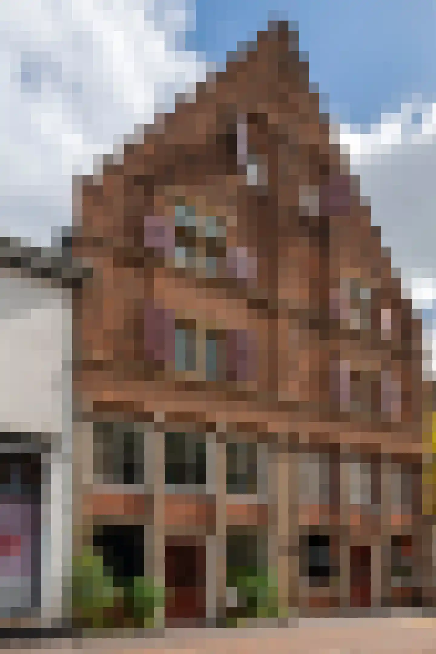 Weerstraat 47 in Tiel