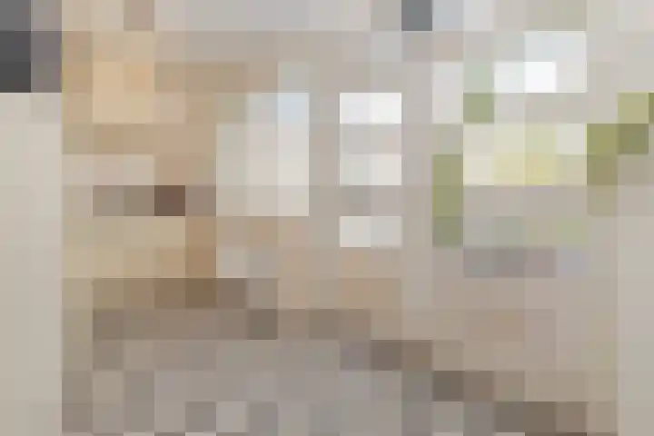 Weert 51 Meerssen thumbnail 12