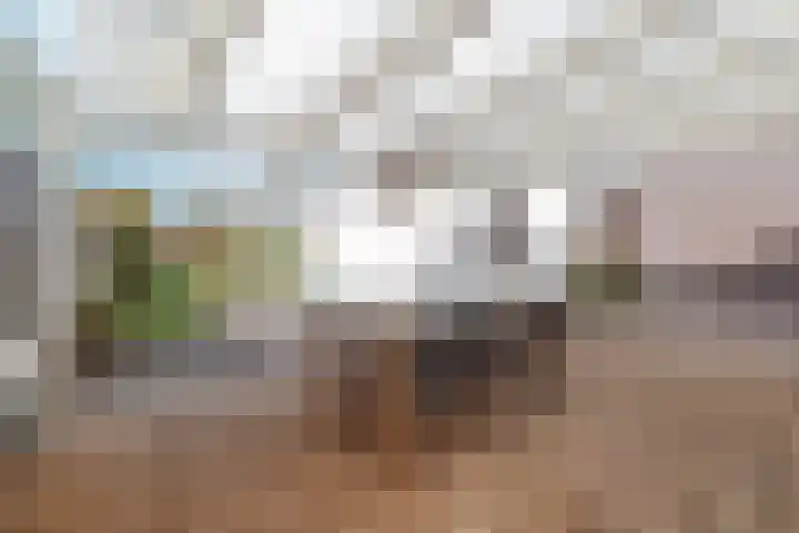Weert 51 Meerssen thumbnail 23