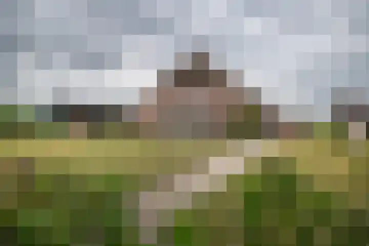 Weerwille 10 en Ruinerwold