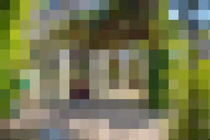 Weesdijk 15 Vianen thumbnail 42
