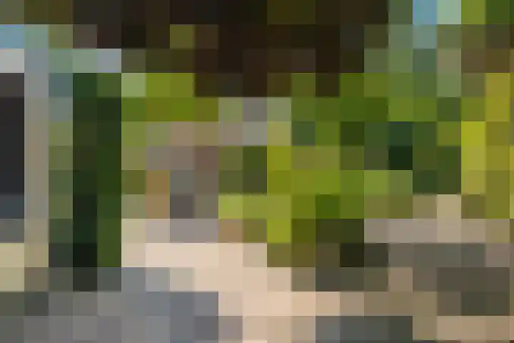 Weesdijk 15 Vianen thumbnail 43