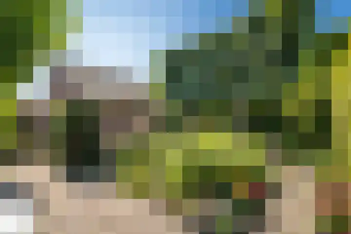 Weesdijk 15 Vianen thumbnail 46