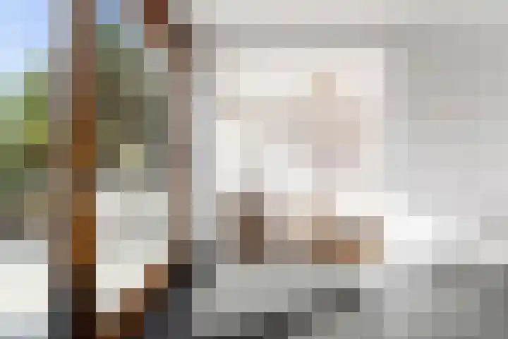 Wegalaan 2 Groningen thumbnail 12