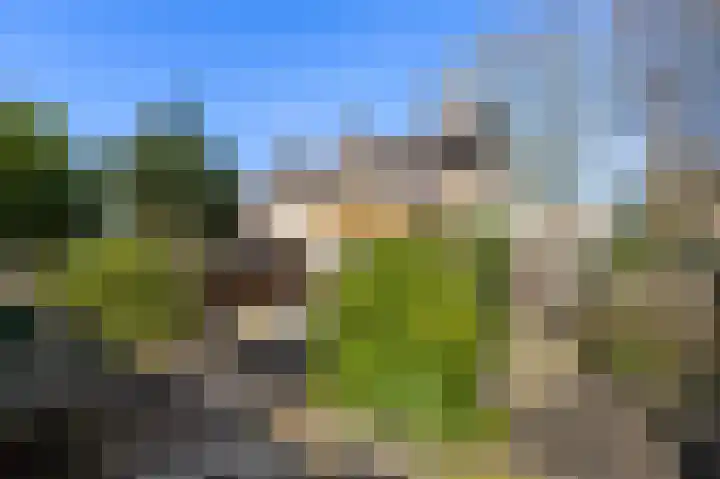 Wegalaan 2 Groningen thumbnail 31