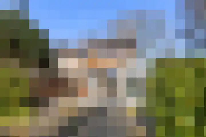 Wegalaan 2 Groningen thumbnail 4