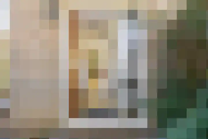 Wegalaan 2 Groningen thumbnail 6