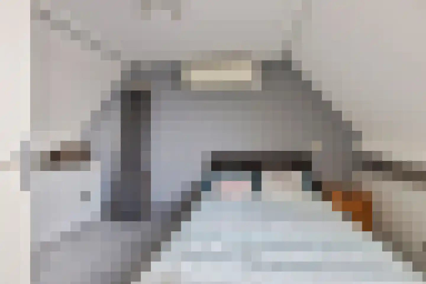 Wegaplein 3 Oude-Tonge thumbnail 30