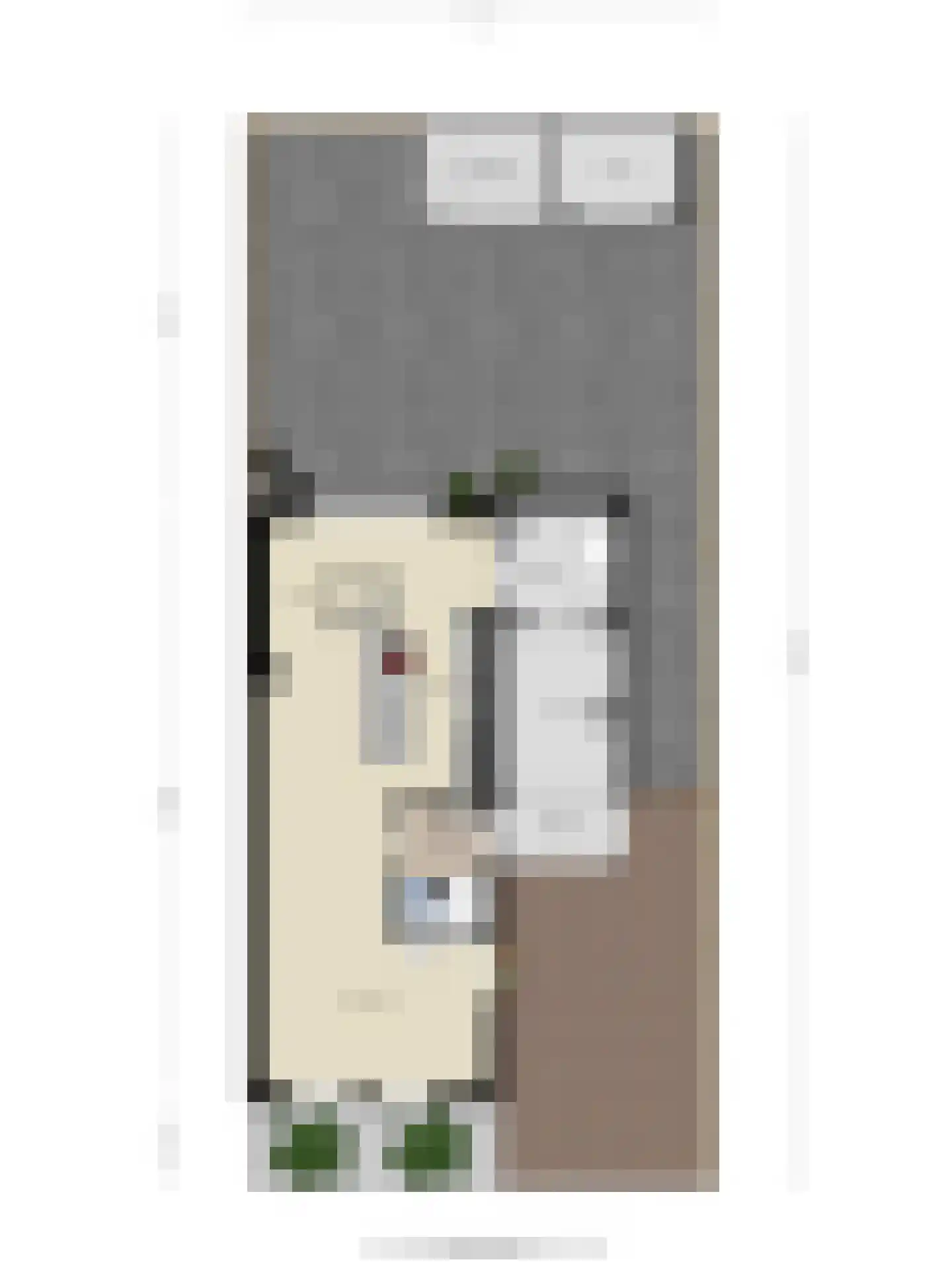 Wegaplein 3 Oude-Tonge thumbnail 38