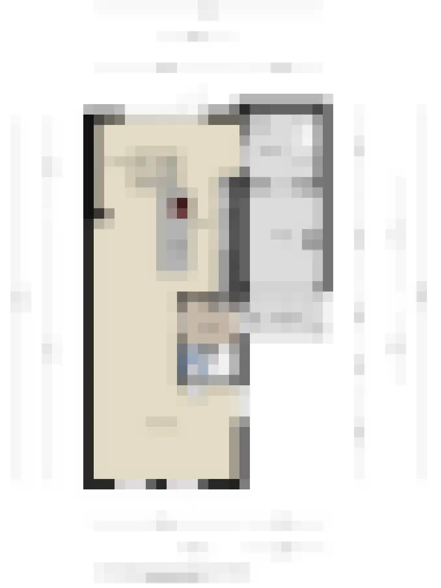 Wegaplein 3 Oude-Tonge thumbnail 39