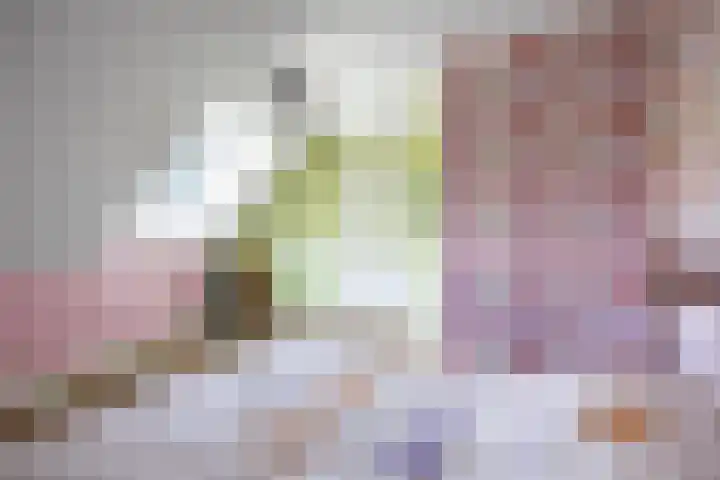 Wegastraat 8 Zuidhorn thumbnail 30