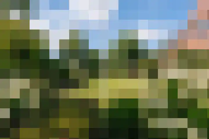 Wegastraat 8 Zuidhorn thumbnail 4