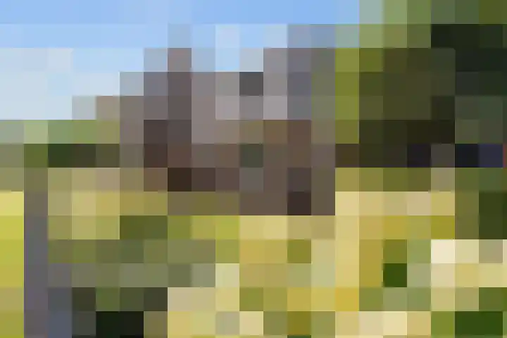 Wegastraat 8 Zuidhorn thumbnail 6