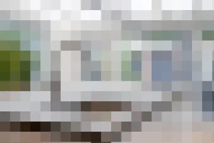 Wegedoorn 213 Cuijk thumbnail 15