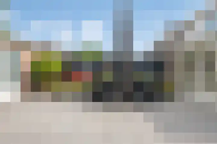 Wegedoorn 213 Cuijk thumbnail 34