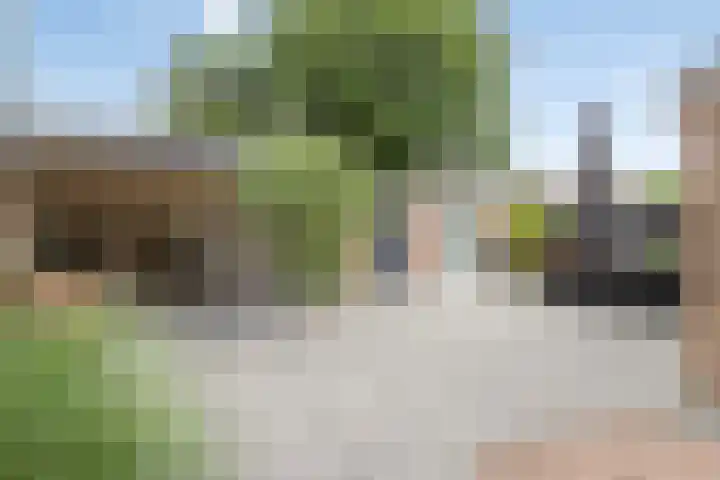 Wegedoorn 213 Cuijk thumbnail 35