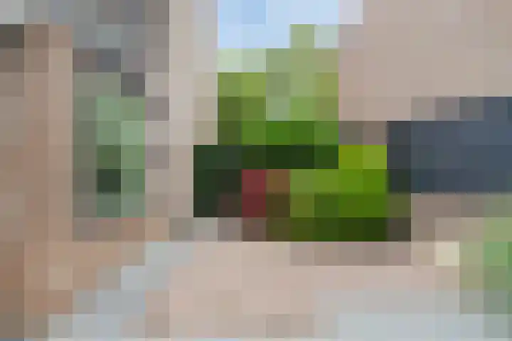 Wegedoorn 213 Cuijk thumbnail 40