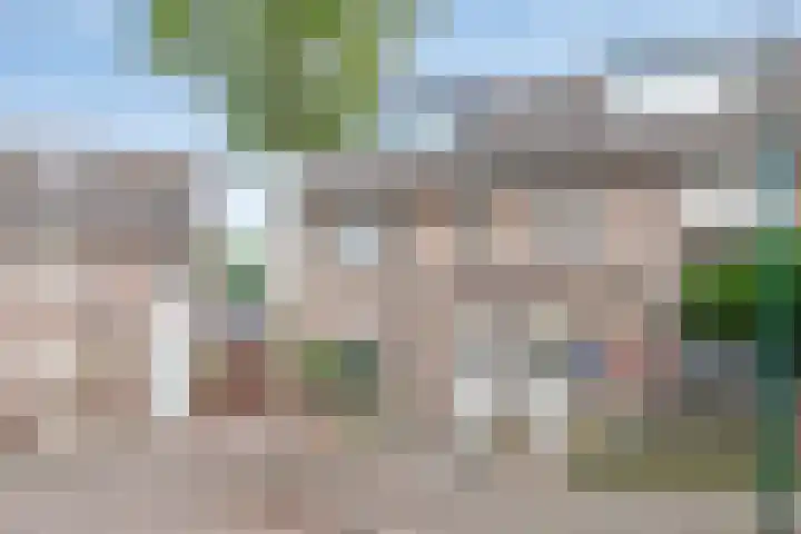 Wegedoorn 213 Cuijk thumbnail 42