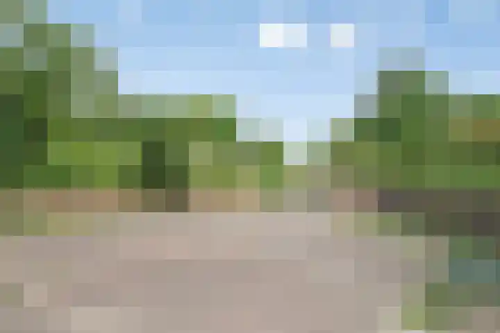 Wegedoorn 213 Cuijk thumbnail 46