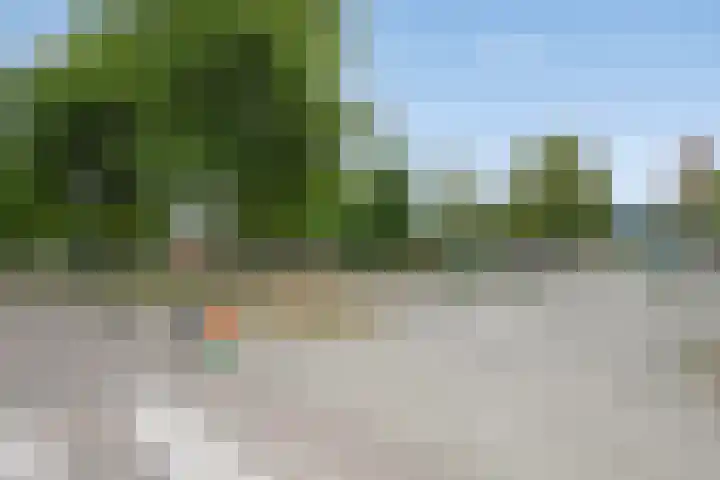 Wegedoorn 213 Cuijk thumbnail 48