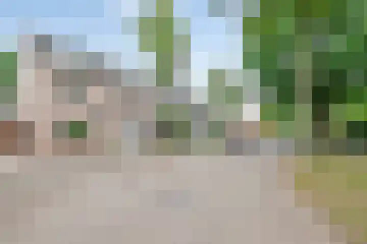 Wegedoorn 213 Cuijk thumbnail 6