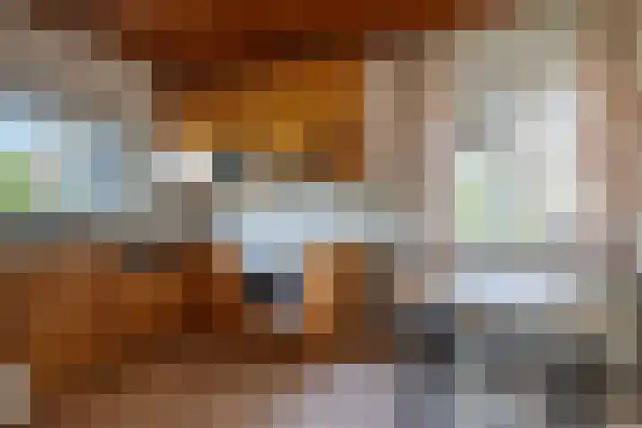 Wegedoorn 32 Geldrop thumbnail 13
