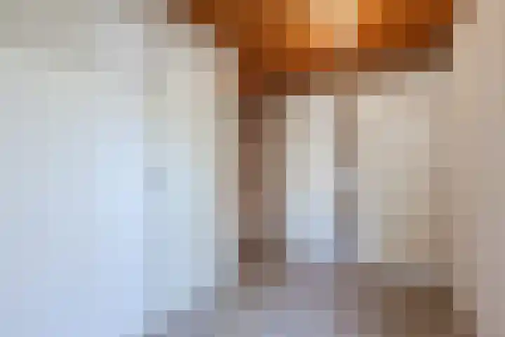 Wegedoorn 32 Geldrop thumbnail 16