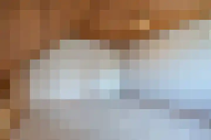 Wegedoorn 32 Geldrop thumbnail 18