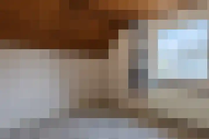 Wegedoorn 32 Geldrop thumbnail 21
