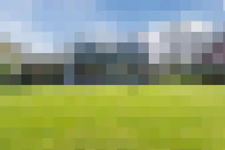 Wegedoorn 32 Geldrop thumbnail 30