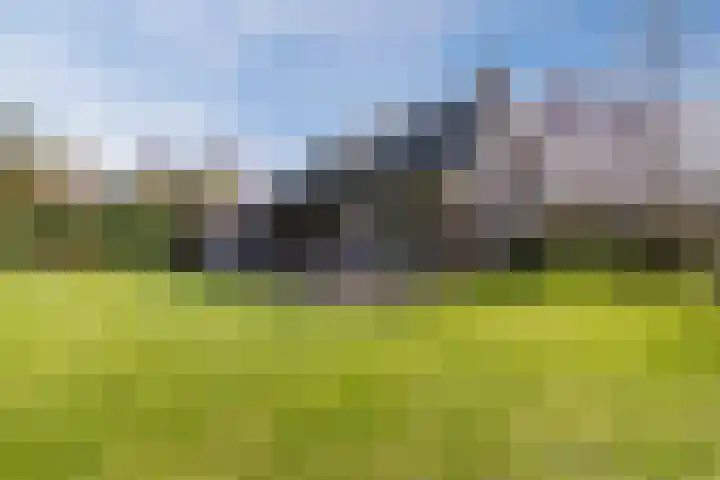 Wegedoorn 32 Geldrop thumbnail 31
