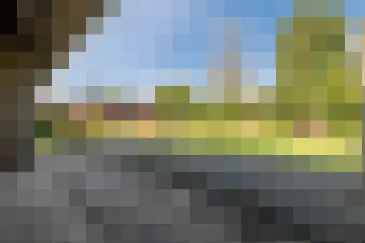 Wegedoorn 32 Geldrop thumbnail 33