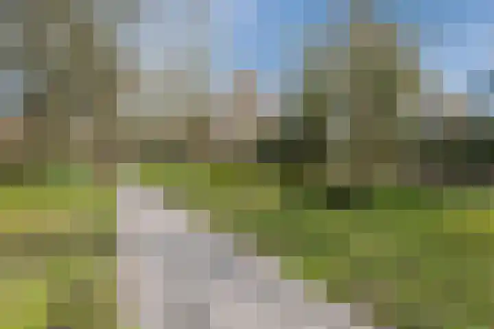 Wegedoorn 32 Geldrop thumbnail 40