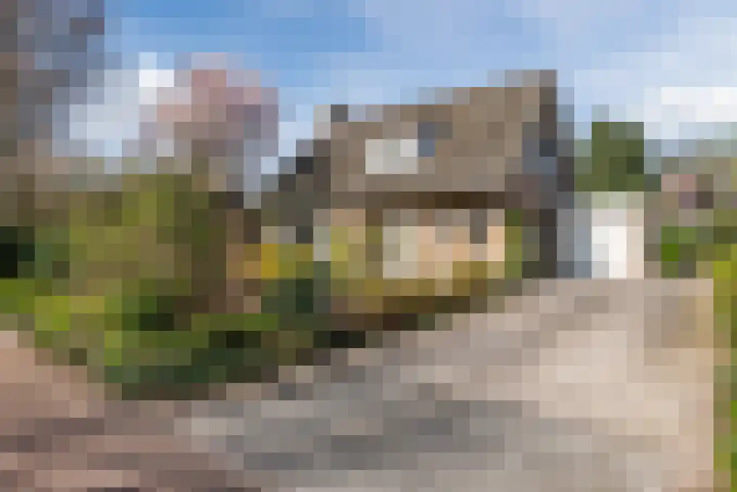 Wegedoorn 32 Geldrop thumbnail 51