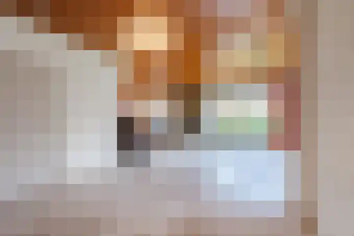 Wegedoorn 32 Geldrop thumbnail 6