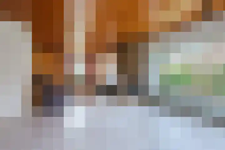 Wegedoorn 32 Geldrop thumbnail 8