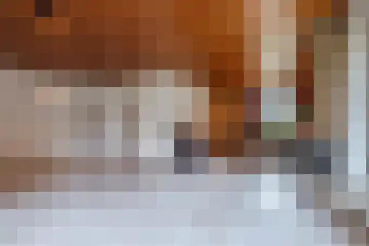 Wegedoorn 32 Geldrop thumbnail 9