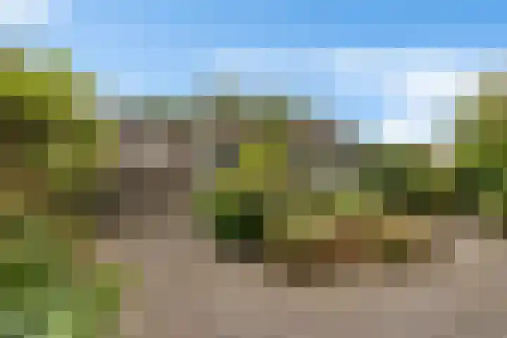 Weglangen 2 Westerbork thumbnail 36