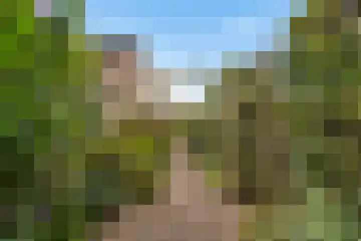 Weglangen 2 Westerbork thumbnail 39