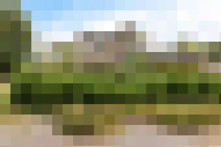 Weglangen 2 Westerbork thumbnail 4