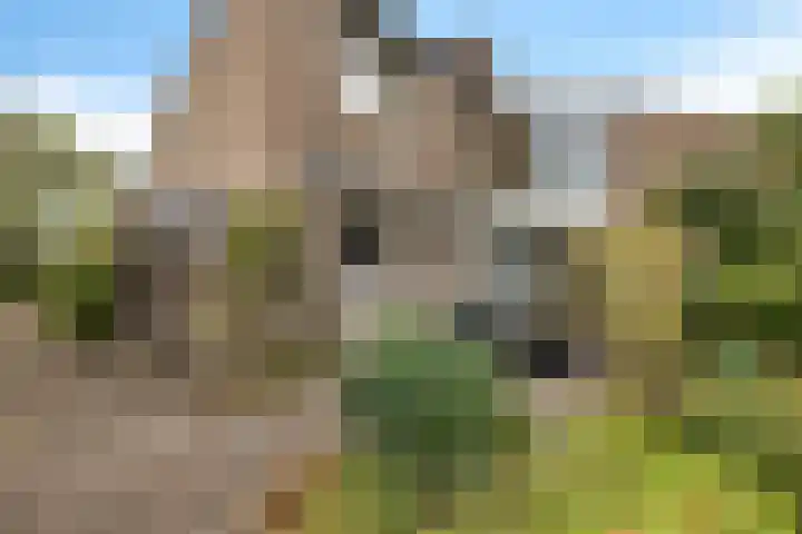 Weglangen 2 Westerbork thumbnail 40