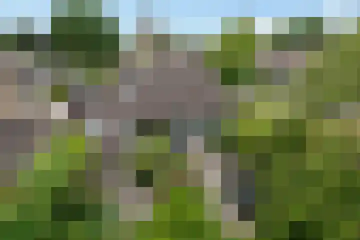 Weglangen 2 Westerbork thumbnail 43