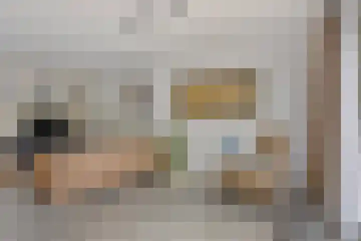 Weide 18 Stompetoren thumbnail 15