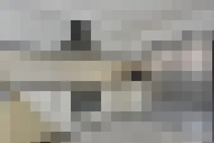 Weide 18 Stompetoren thumbnail 18