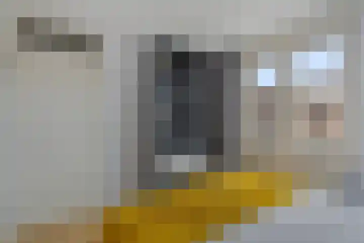 Weide 18 Stompetoren thumbnail 23