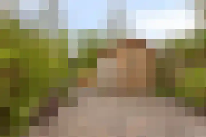 Weide 18 Stompetoren thumbnail 35