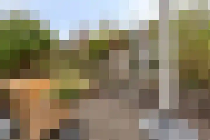 Weide 18 Stompetoren thumbnail 37